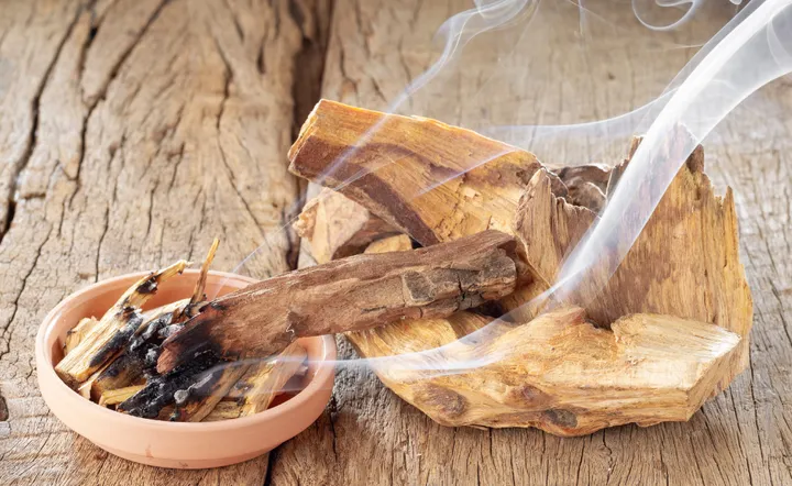Palo Santo: beneficii, utilizare și istorie