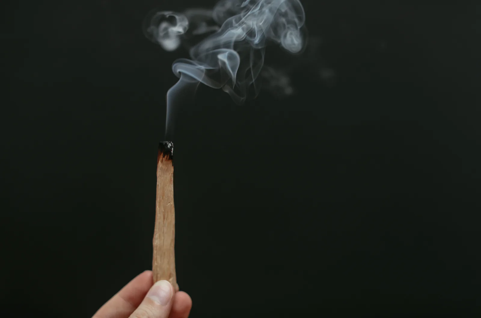 Palo Santo