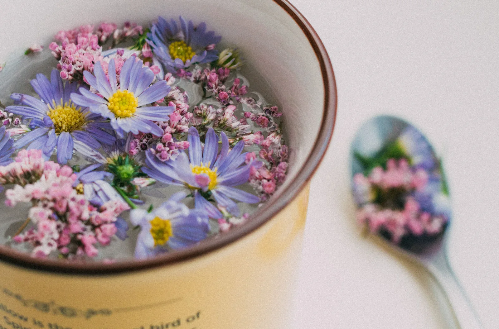 Ape florale & botanice