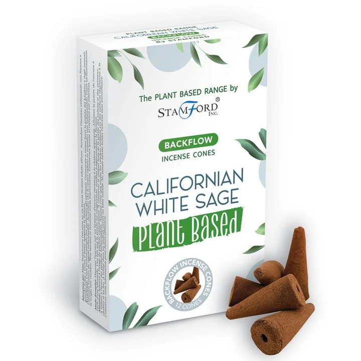 Conuri Backflow din plante - Salvie Albă California